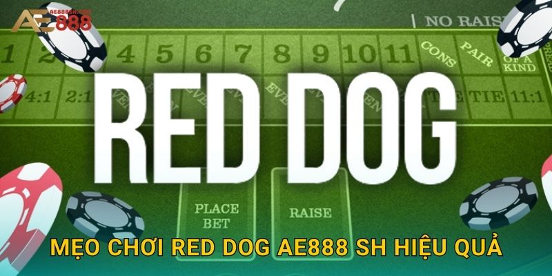 Mẹo chơi Red Dog ae888 sh hiệu quả